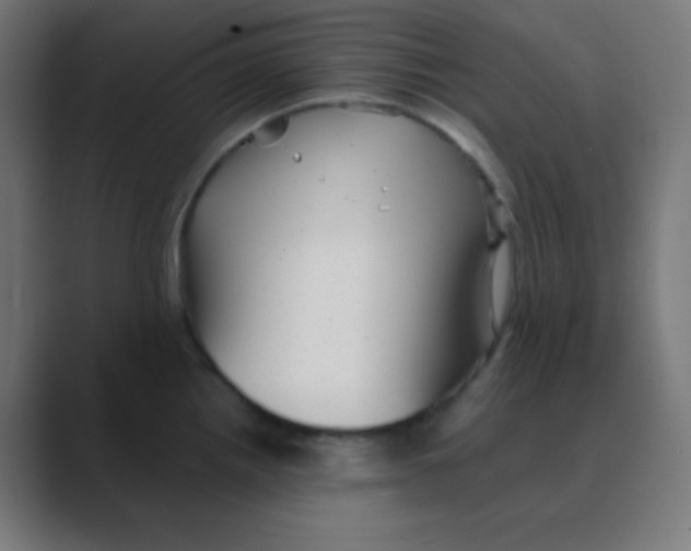 X0000088451242200706191305