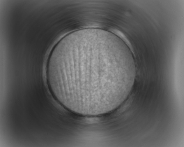 X0000088451243200706191305
