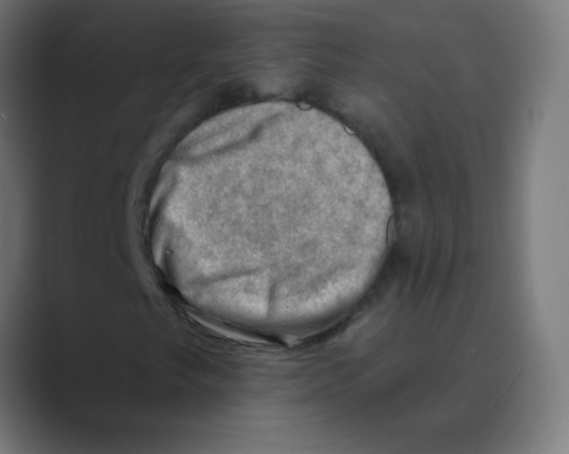 X0000088451249200706191305