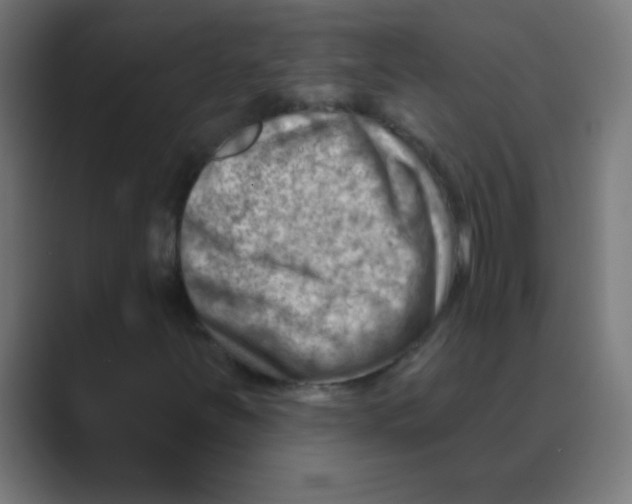 X0000088451251200706191305