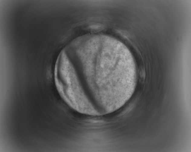 X0000088451252200706191305