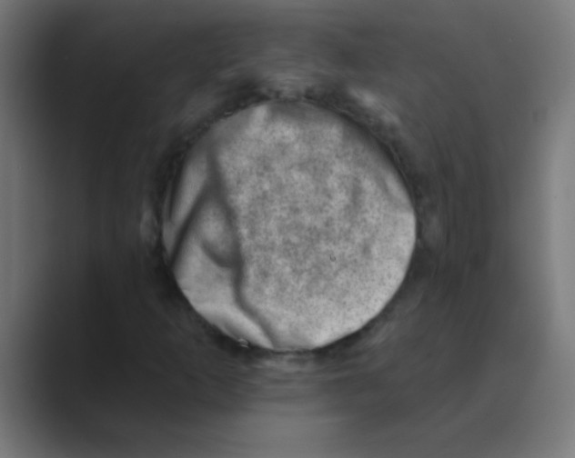 X0000088451253200706191305