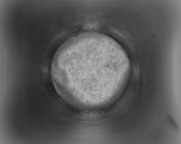 X0000088451254200706191305