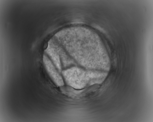 X0000088451255200706191305