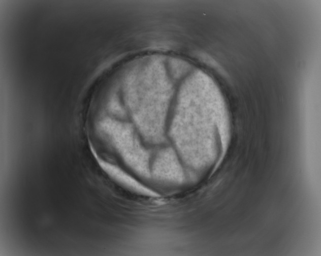 X0000088451256200706191305