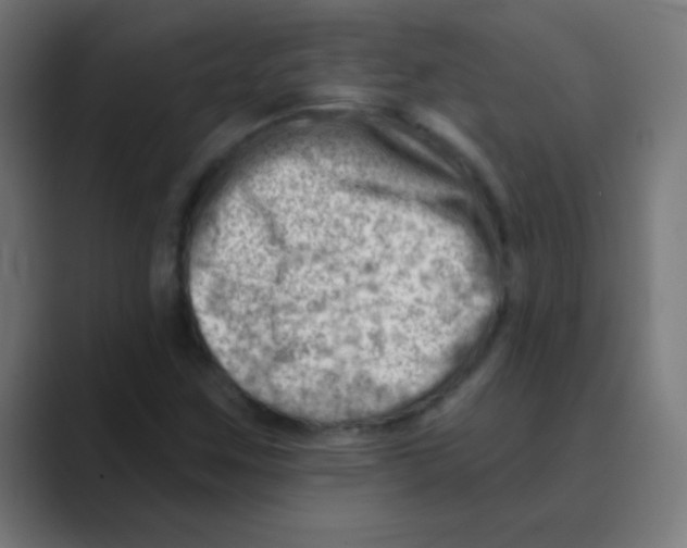 X0000088451259200706191305