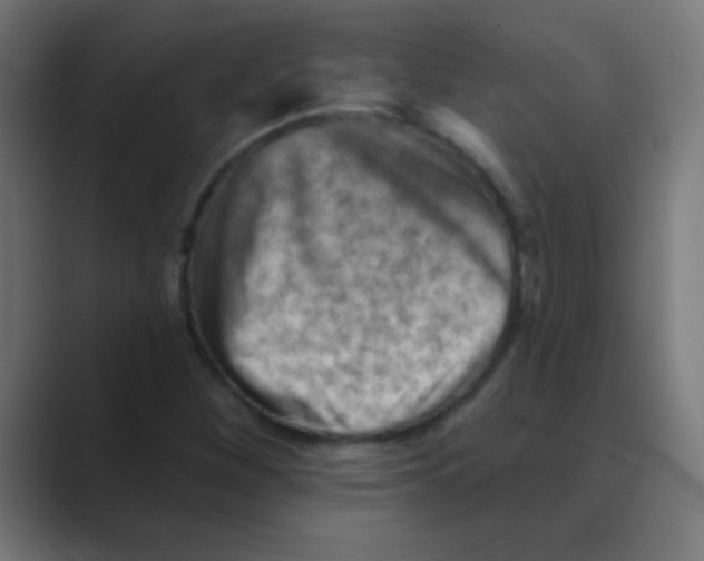 X0000088451260200706191305