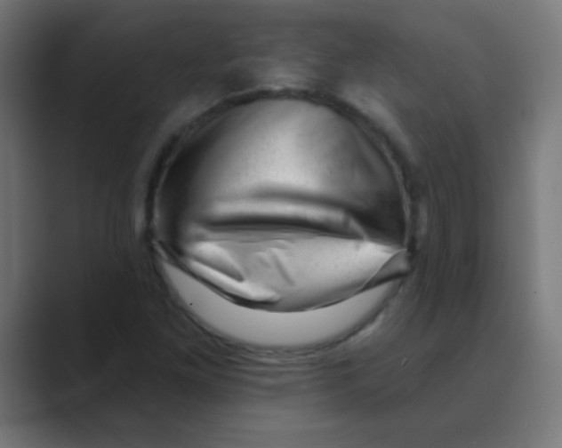 X0000088451261200706191305