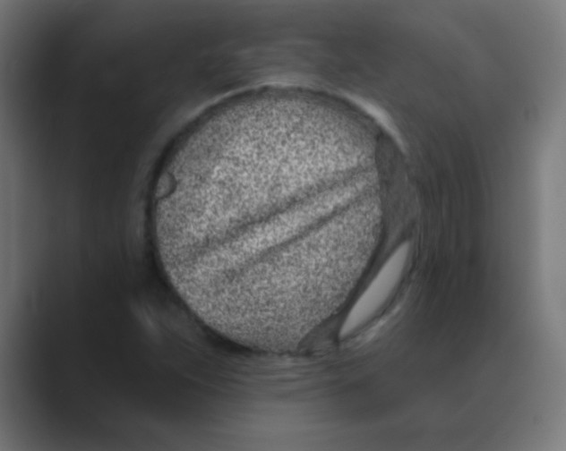 X0000088451263200706191304