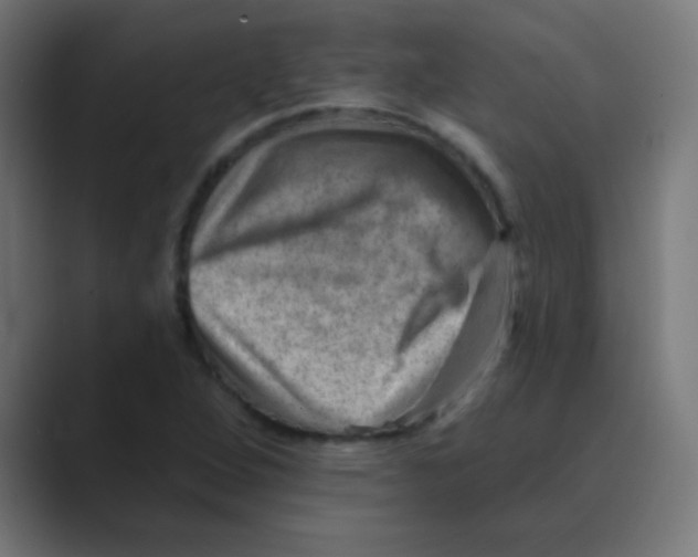 X0000088451264200706191304