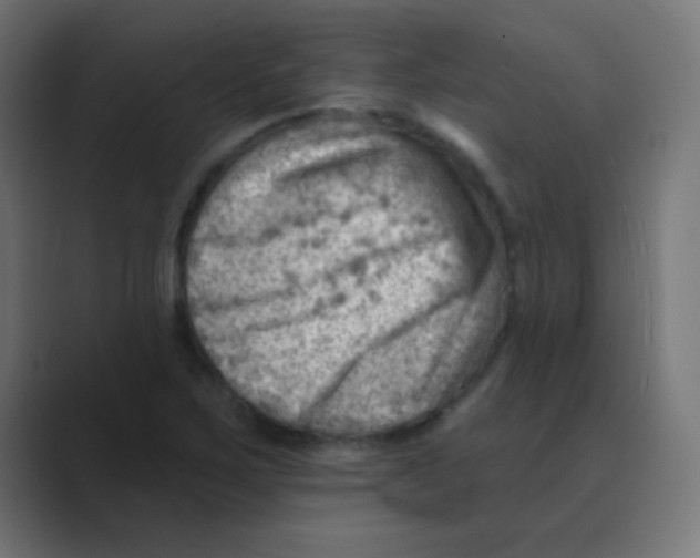 X0000088451267200706191304