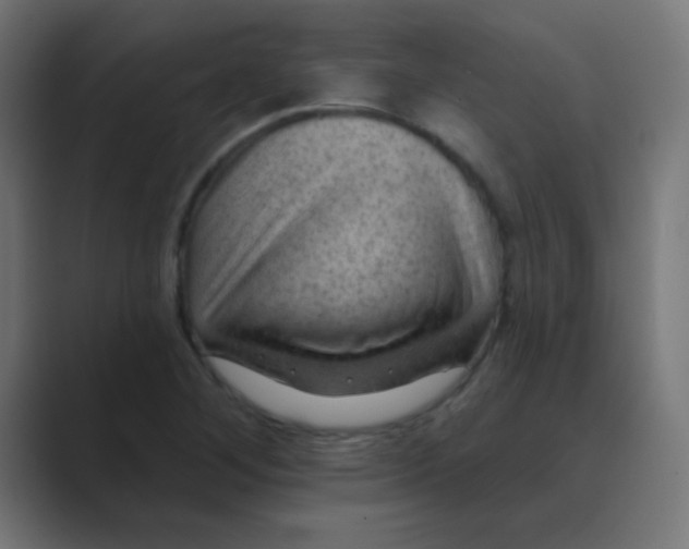 X0000088451268200706191304