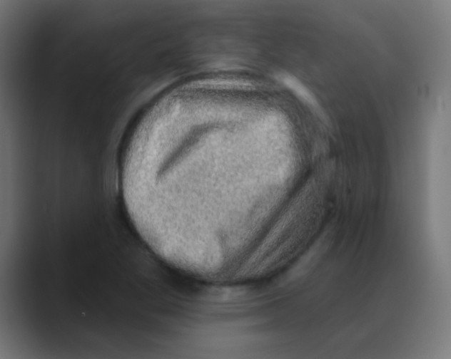 X0000088451269200706191304