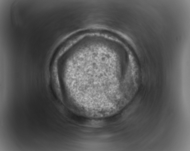X0000088451271200706191304