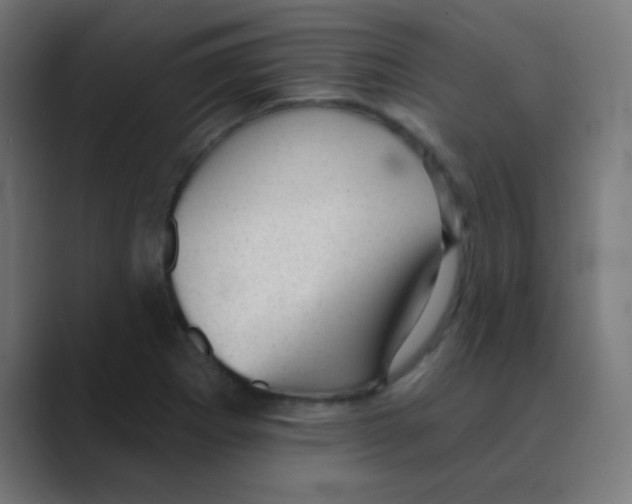 X0000088451273200706191304