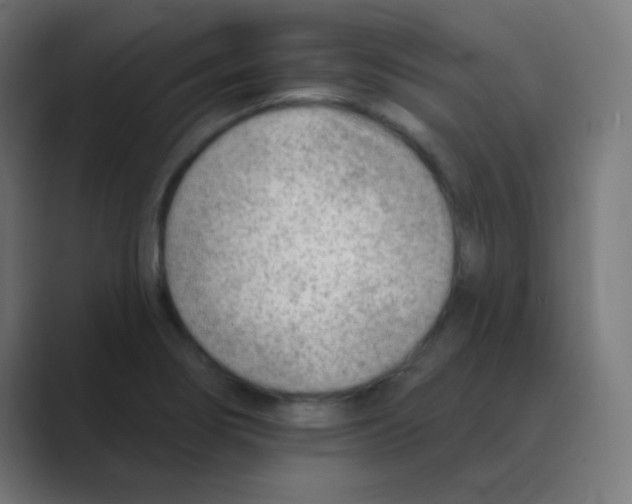 X0000088451274200706191304