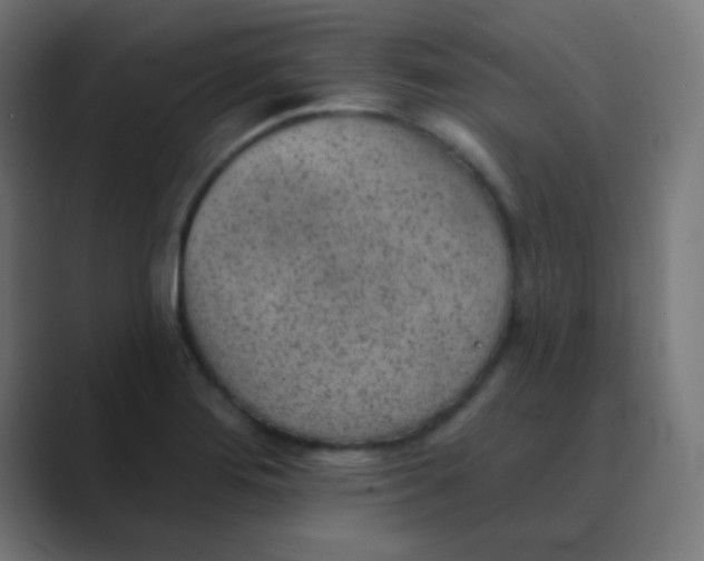X0000088451276200706191304