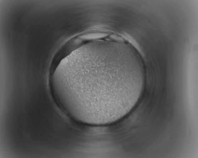 X0000088451277200706191304