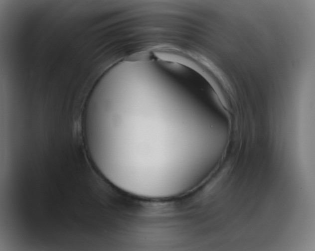 X0000088451281200706191304