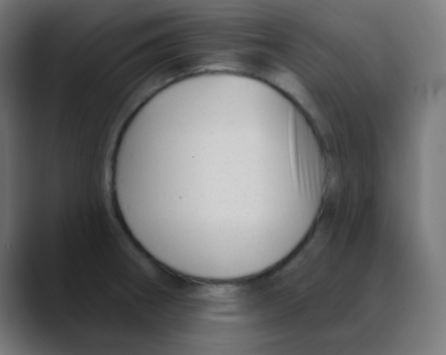 X0000088451282200706191304