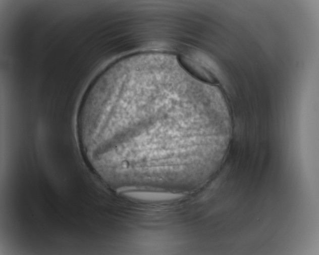 X0000088451283200706191304