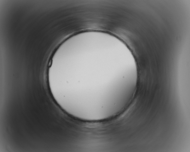 X0000088451285200706191304