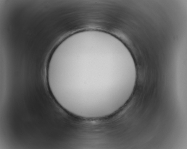 X0000088451286200706191304
