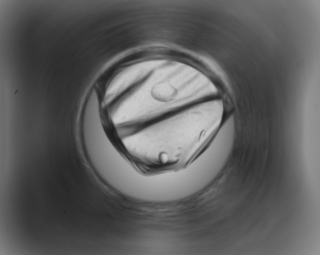 X0000088451287200706191304