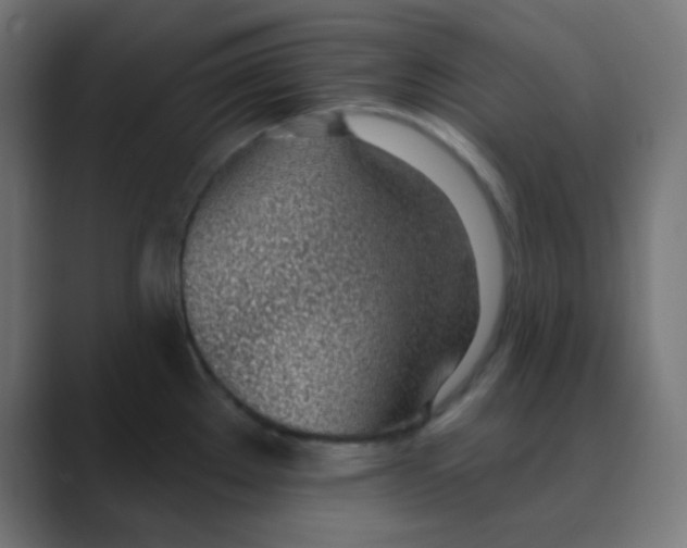 X0000088451289200706191304