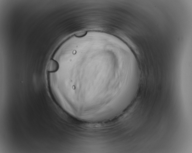 X0000088451291200706191304