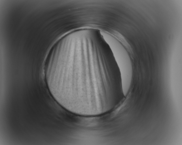 X0000088451292200706191304