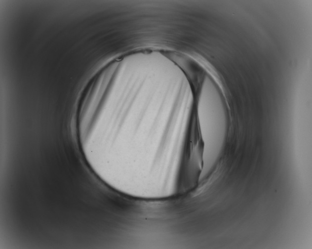 X0000088451293200706191304
