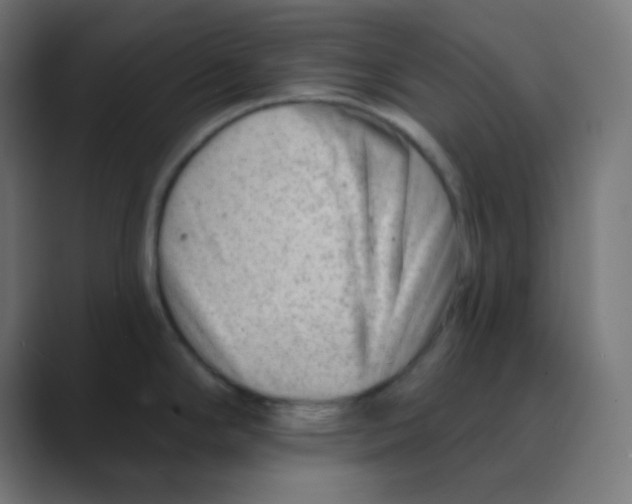 X0000088451294200706191304