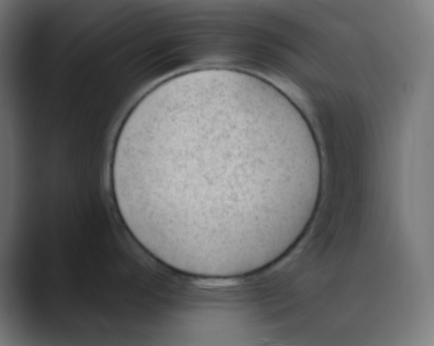 X0000088451296200706191304