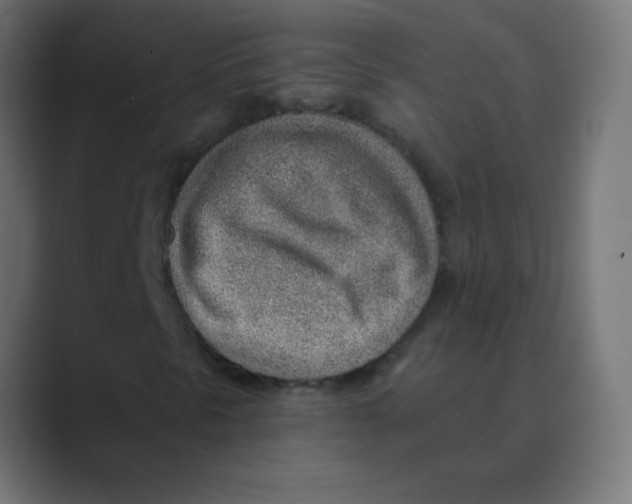 X0000088451297200706191304