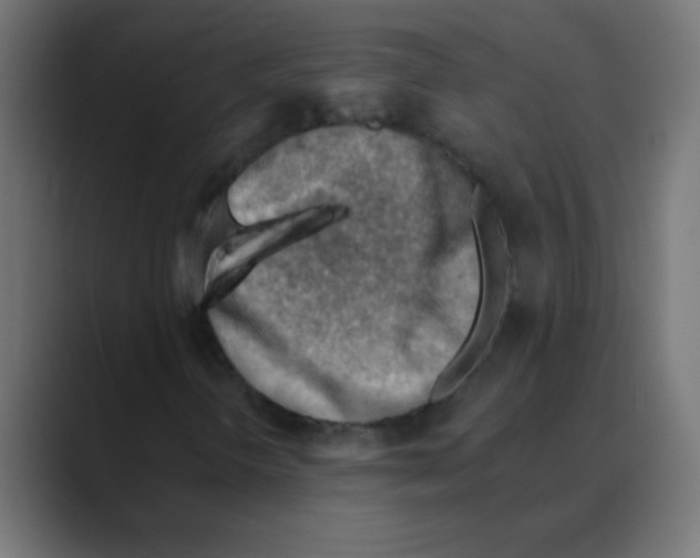 X0000088451298200706191304