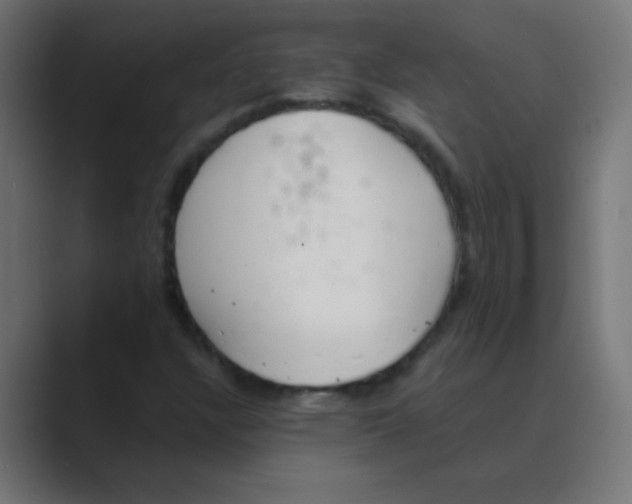 X0000088451304200706191304