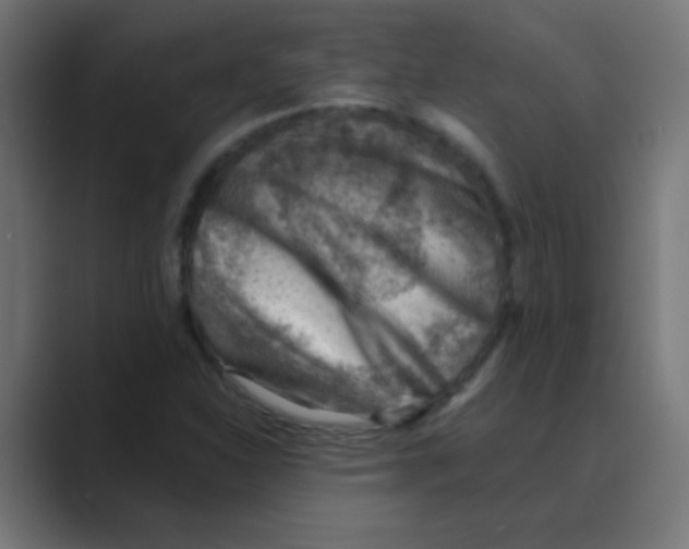 X0000088451310200706191304