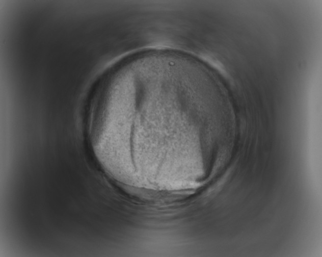 X0000088451311200706191304