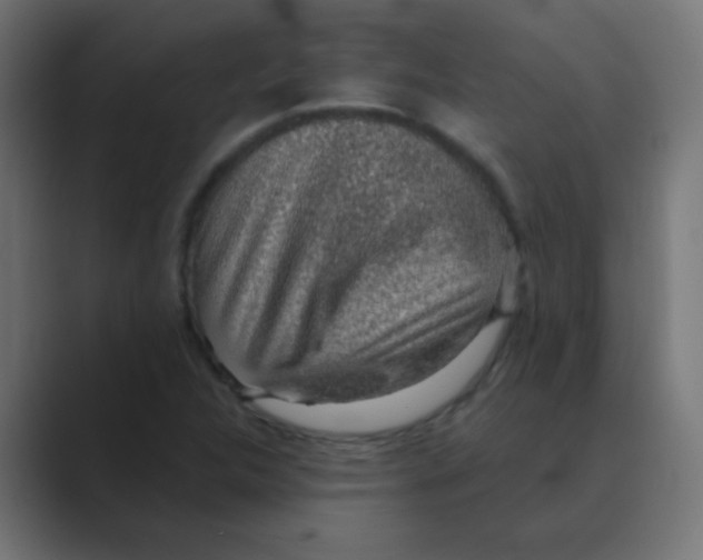 X0000088451312200706191304