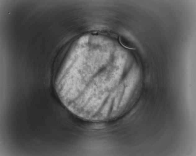 X0000088451313200706191304