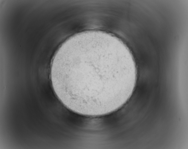 X0000088451314200706191304