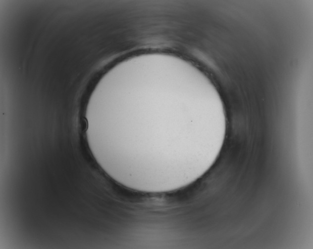 X0000088451315200706191304
