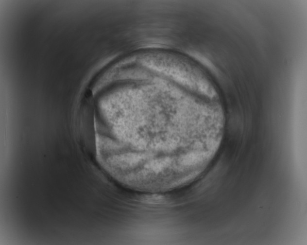 X0000088451317200706191304