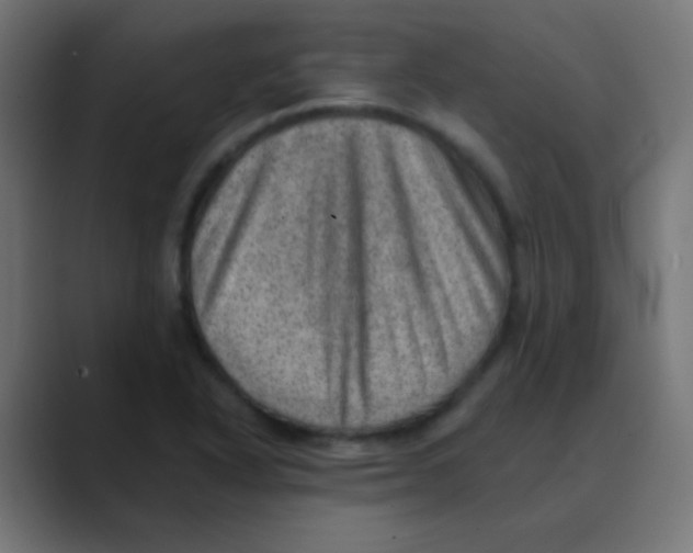 X0000088451318200706191304