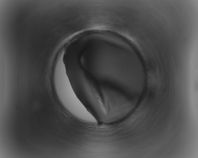 X0000088451319200706191304