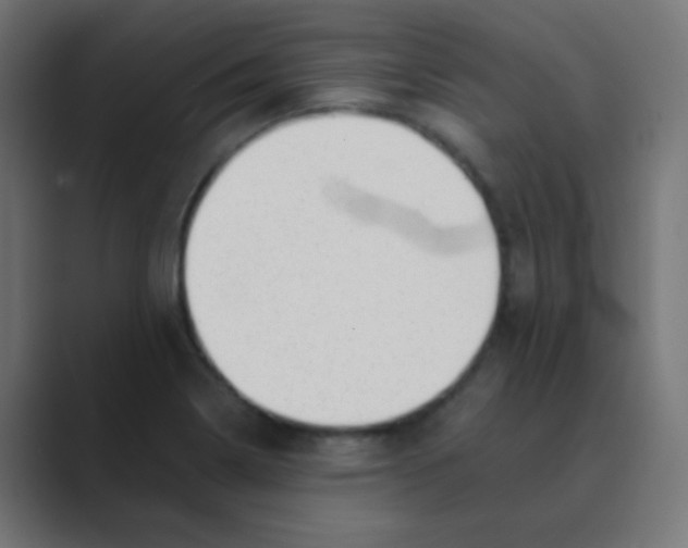 X0000088451322200706191304