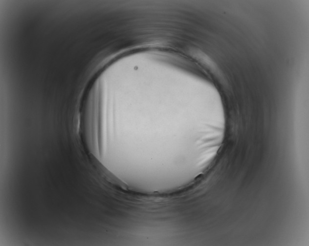 X0000088451324200706191304