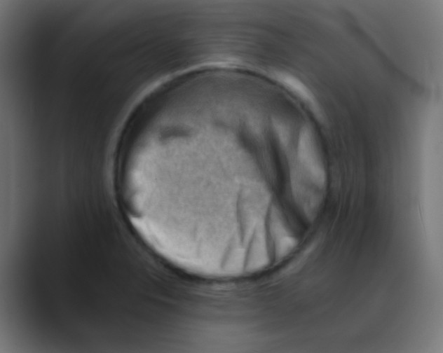 X0000088451326200706191304