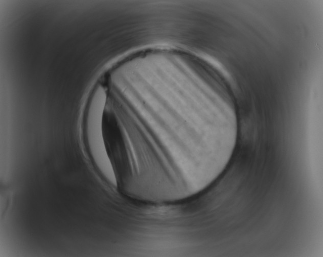 X0000088451327200706191304